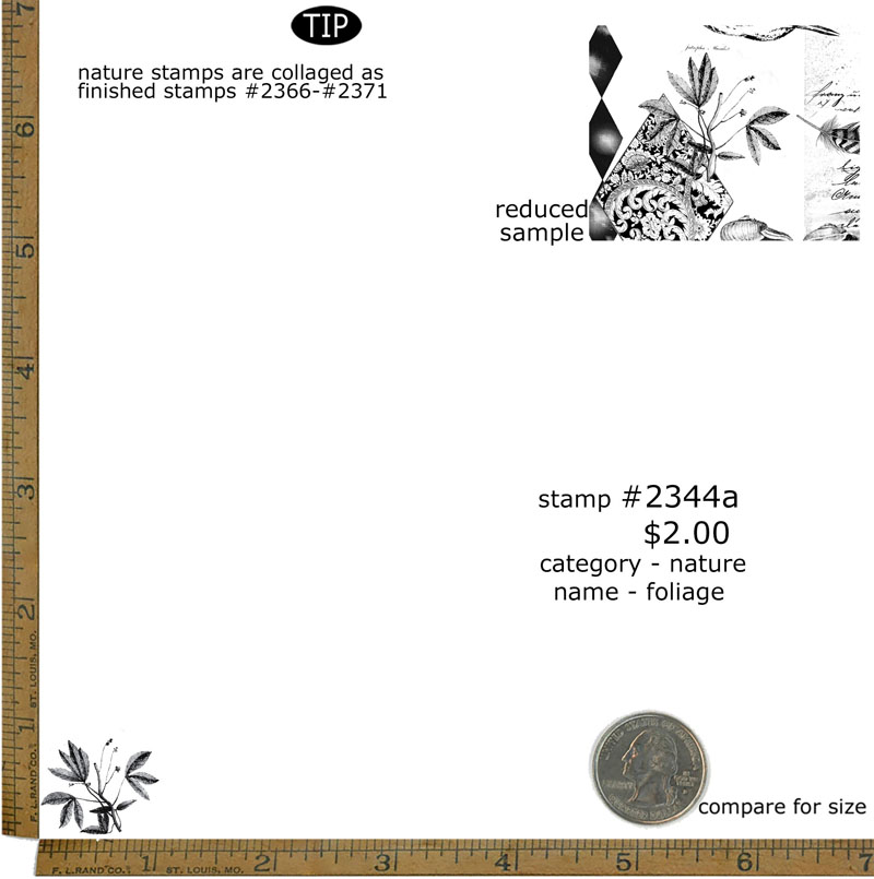 #2344a - Foliage - Nature